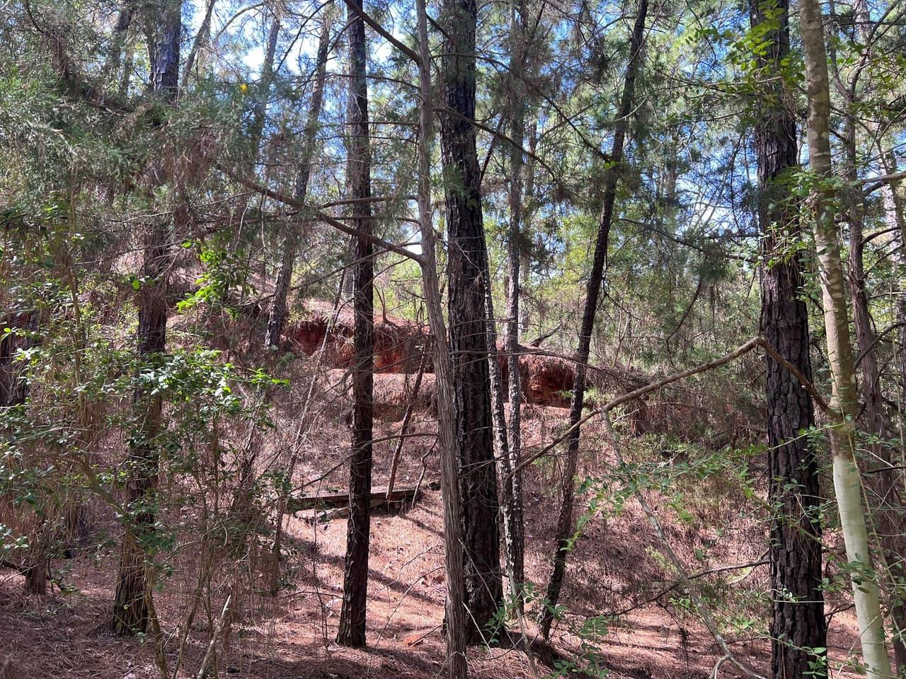 TBD  Okoe Ct W photo 4