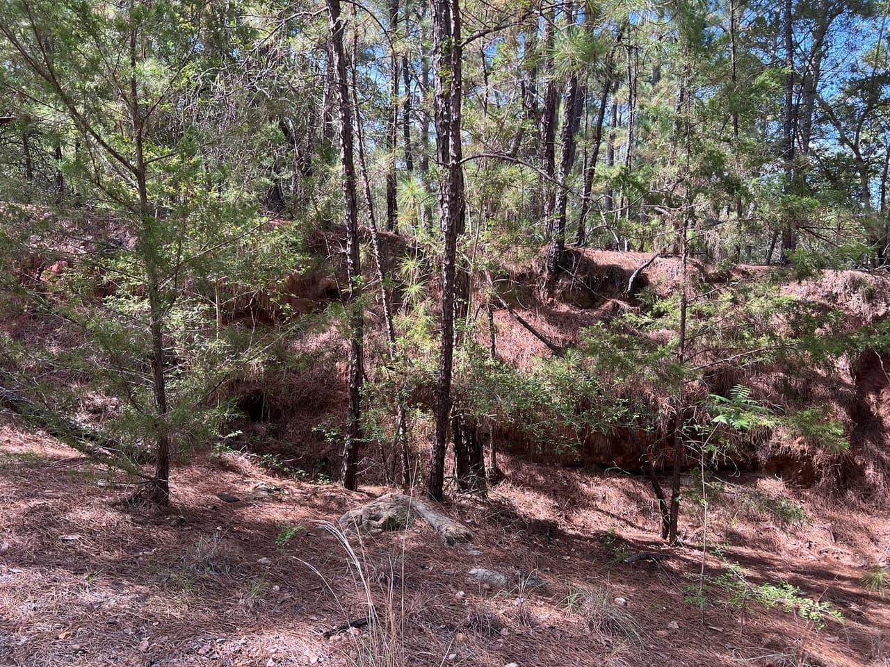 TBD  Okoe Ct W photo 5