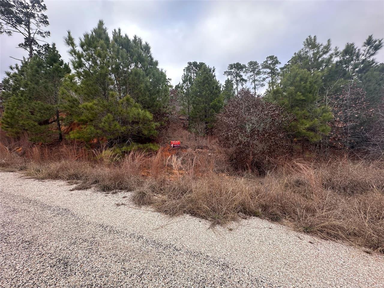 LOT 173 / R32210  Keo Kea Ct photo 4
