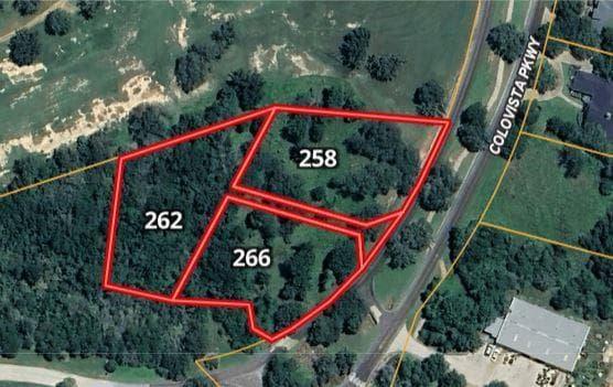 262  Colovista Pkwy photo 3