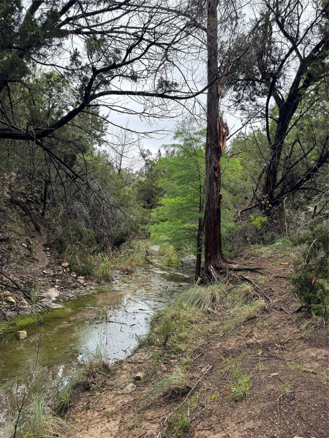 N/A  Windy Hills Rd photo 3