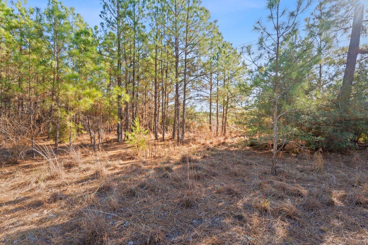 Lot 65  State Highway 21 None photo 5