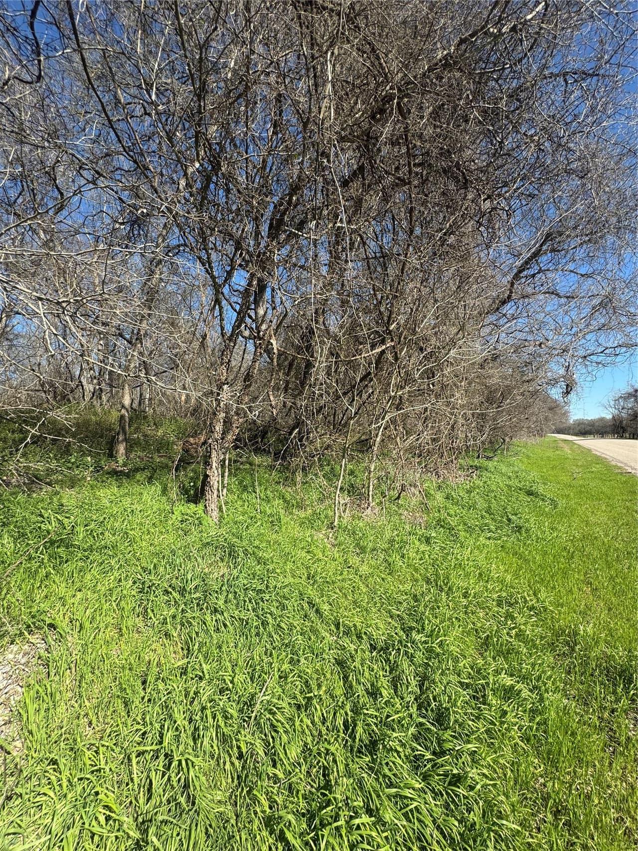Lot 961  Riverside Dr photo 3