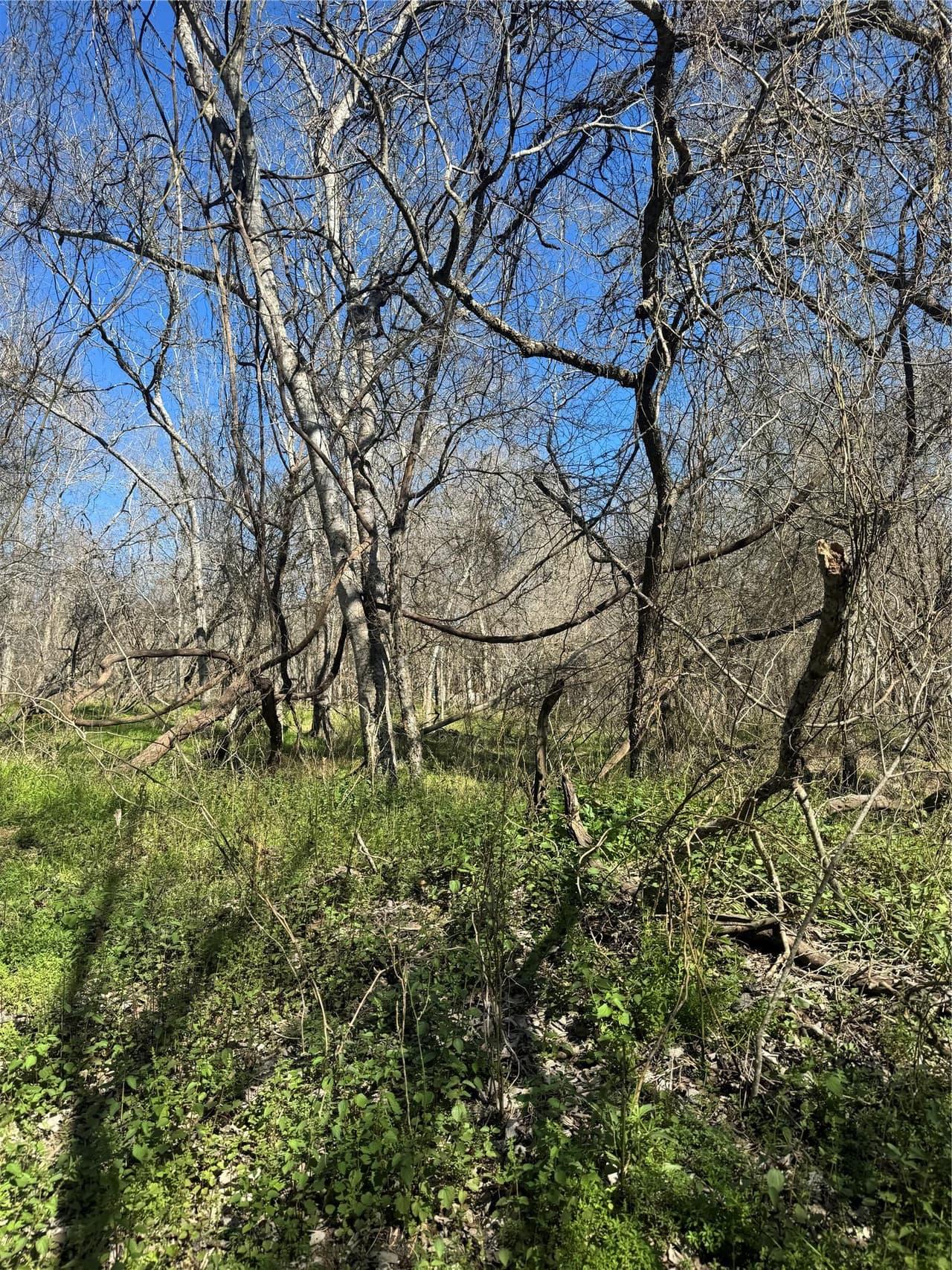 Lot 961  Riverside Dr photo 4
