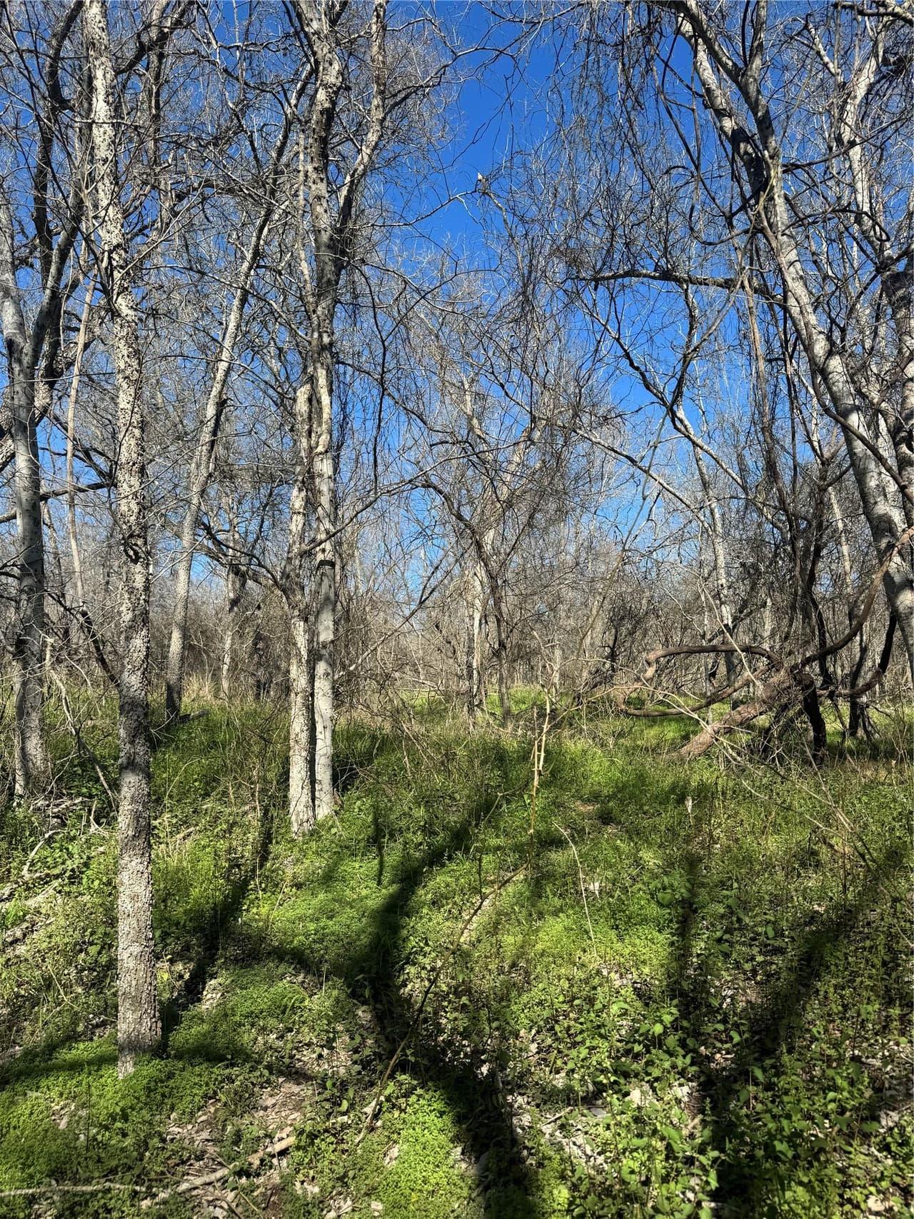 Lot 961  Riverside Dr photo 5