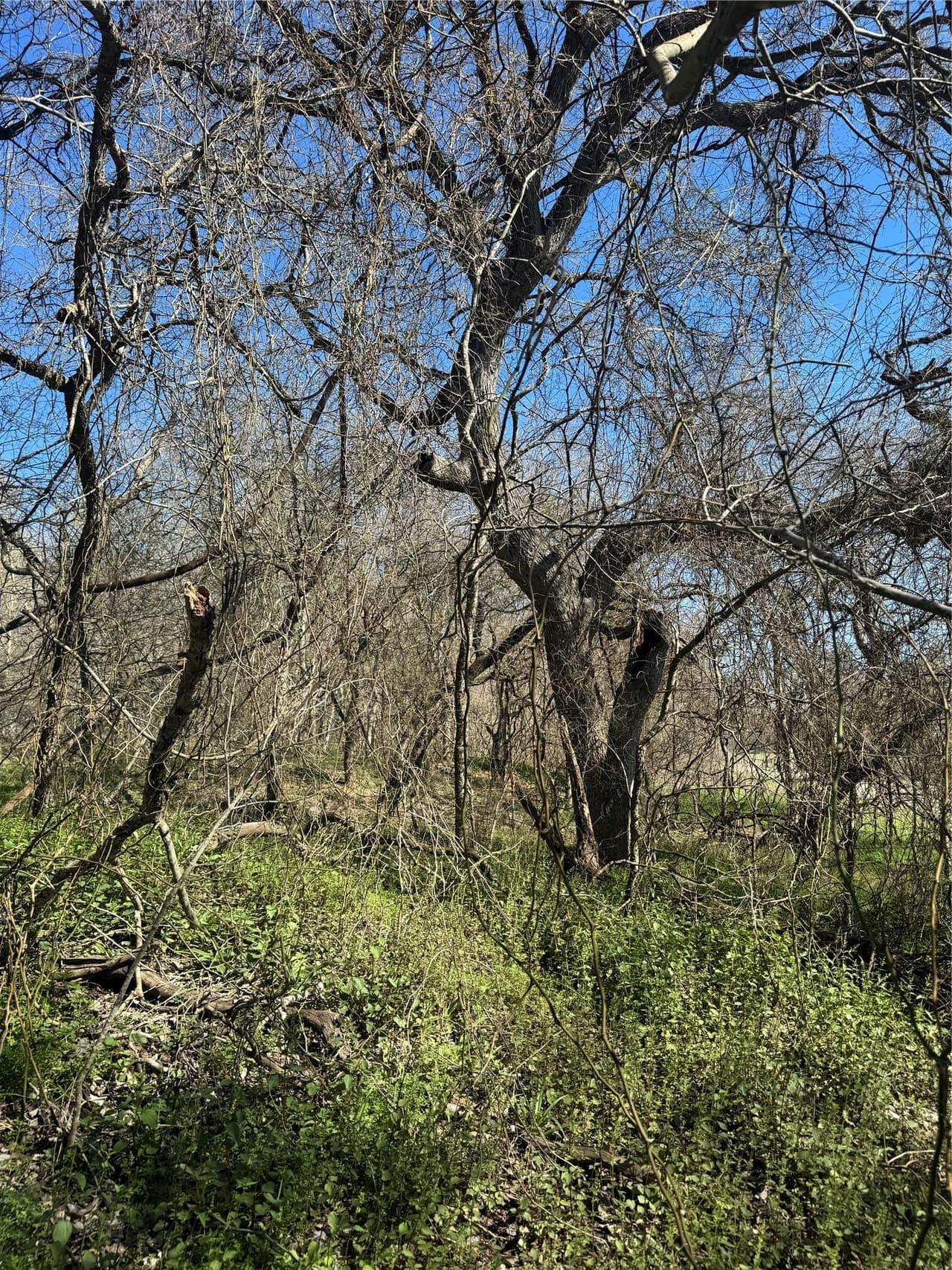 Lot 961  Riverside Dr photo 6