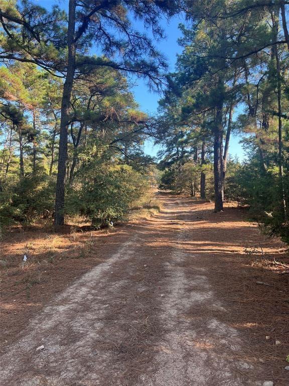 TBD  Pine Lodge Dr
