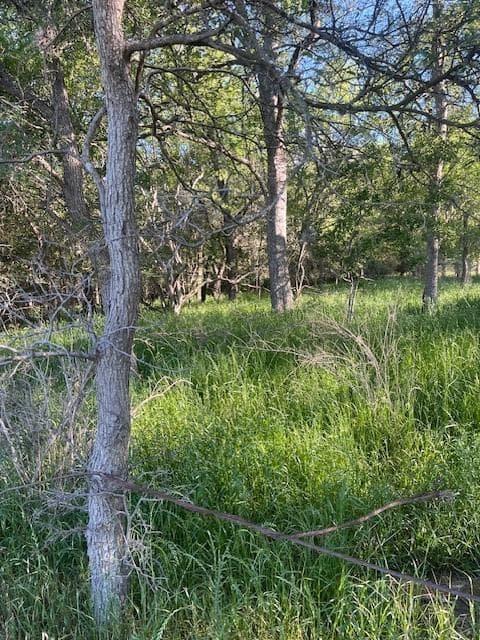 Lot 768  Kaukonahua Ln photo 3