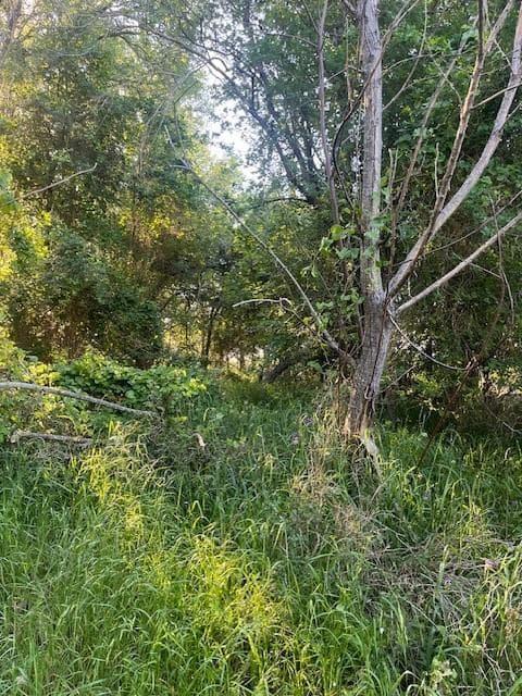 Lot 768  Kaukonahua Ln photo 6