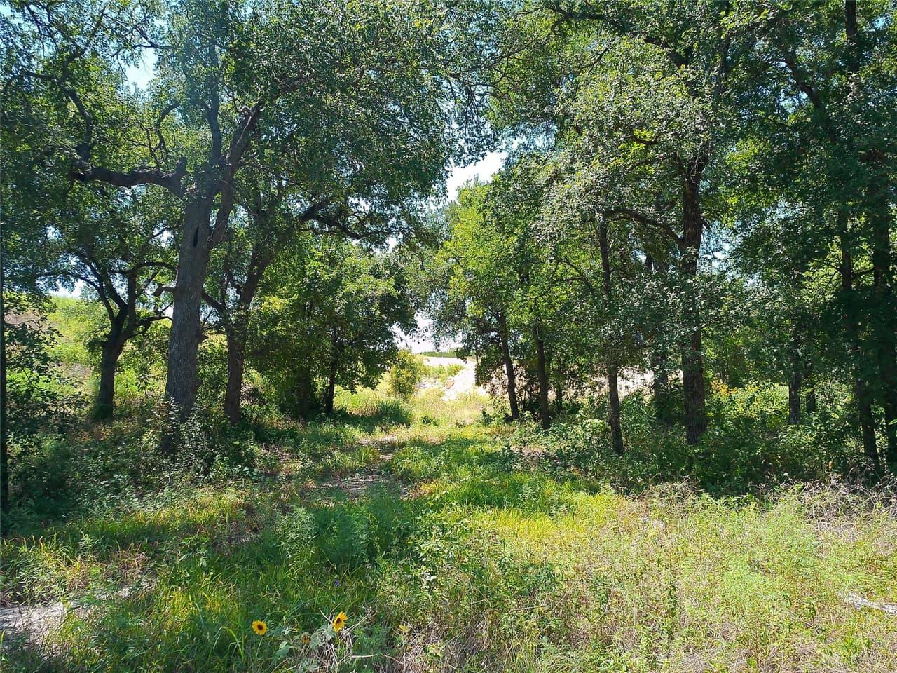 212  Serenity Dr photo 3