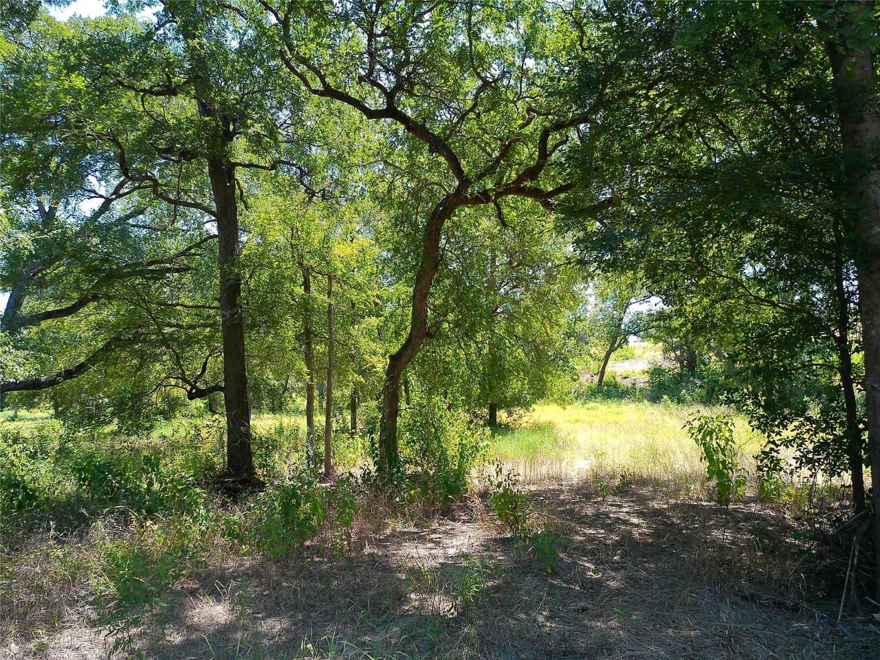 212  Serenity Dr photo 4
