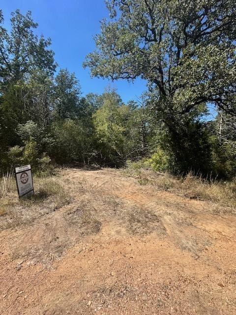 0 Tbd lot 102 and lot 100  Ripple Brook Dr photo 3