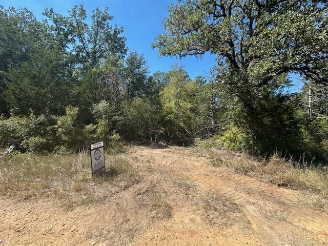 0 Tbd lot 102 and lot 100  Ripple Brook Dr photo 4