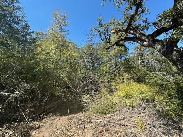 0 Tbd lot 102 and lot 100  Ripple Brook Dr photo 5