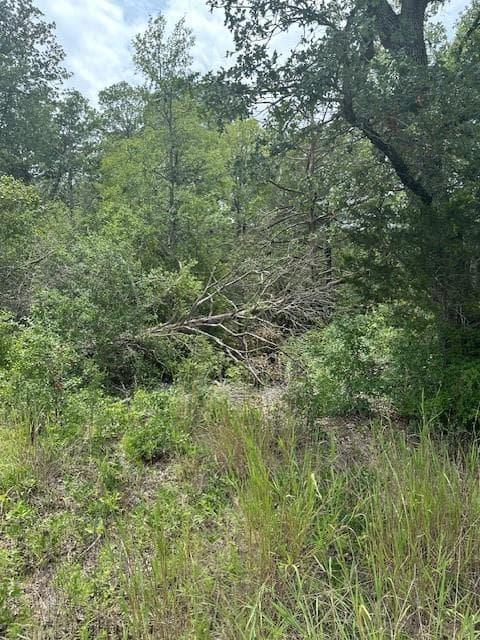 0 Tbd lot 102 and lot 100  Ripple Brook Dr photo 6