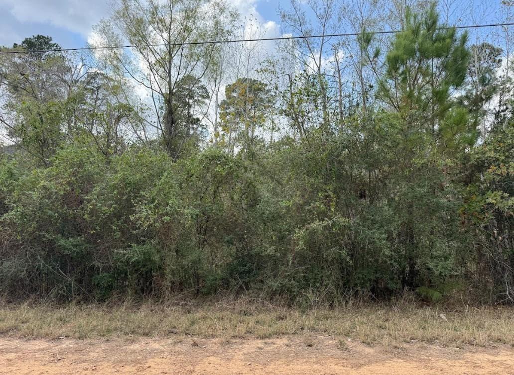 Lot 233  MAKAHA Dr photo 2