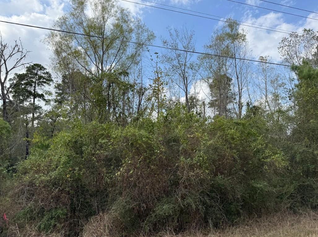 Lot 233  MAKAHA Dr photo 3