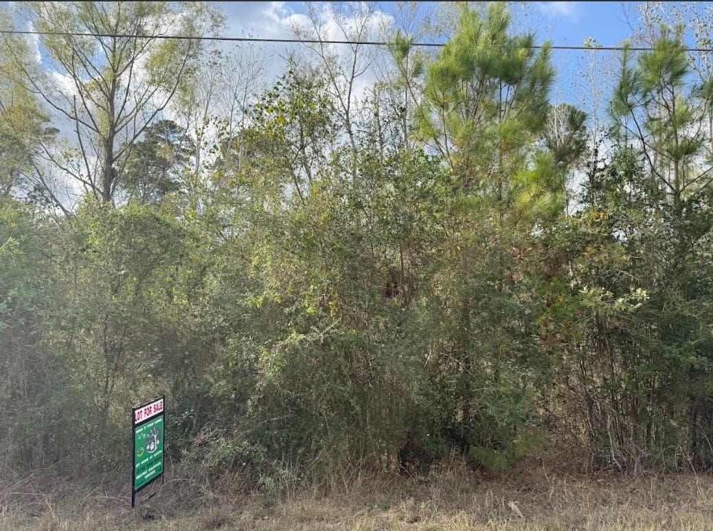 Lot 233  MAKAHA Dr photo 4