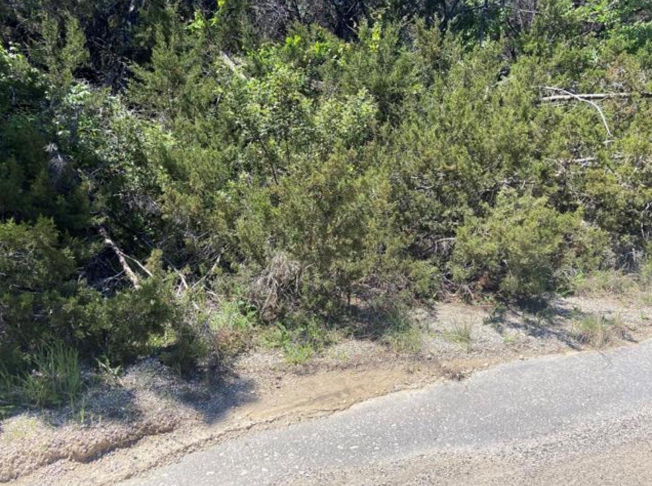 20601  Oxbow Trl photo 5