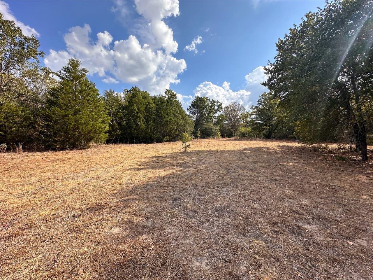 TBD  Walter Hoffman Rd photo 2