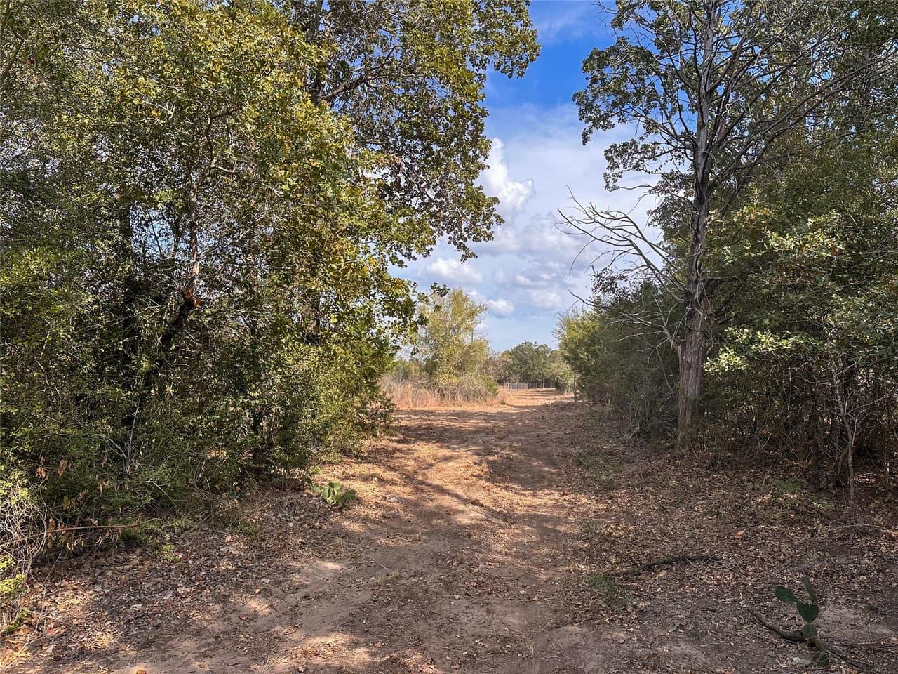TBD  Walter Hoffman Rd photo 4