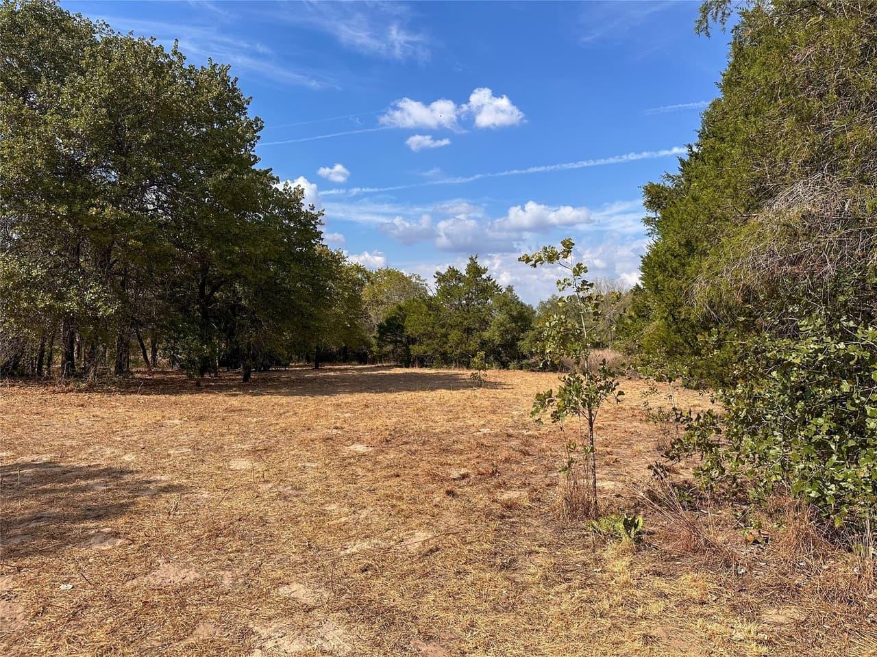 TBD  Walter Hoffman Rd photo 6