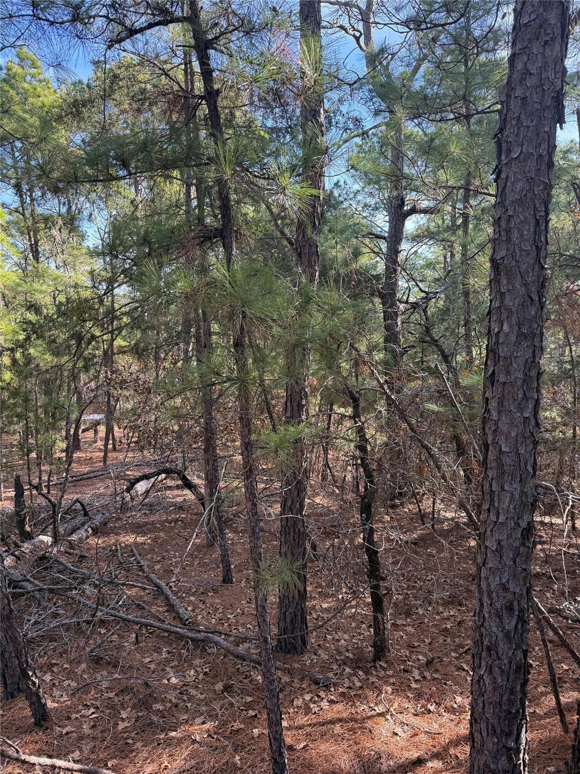 106  Llio Ct photo 2