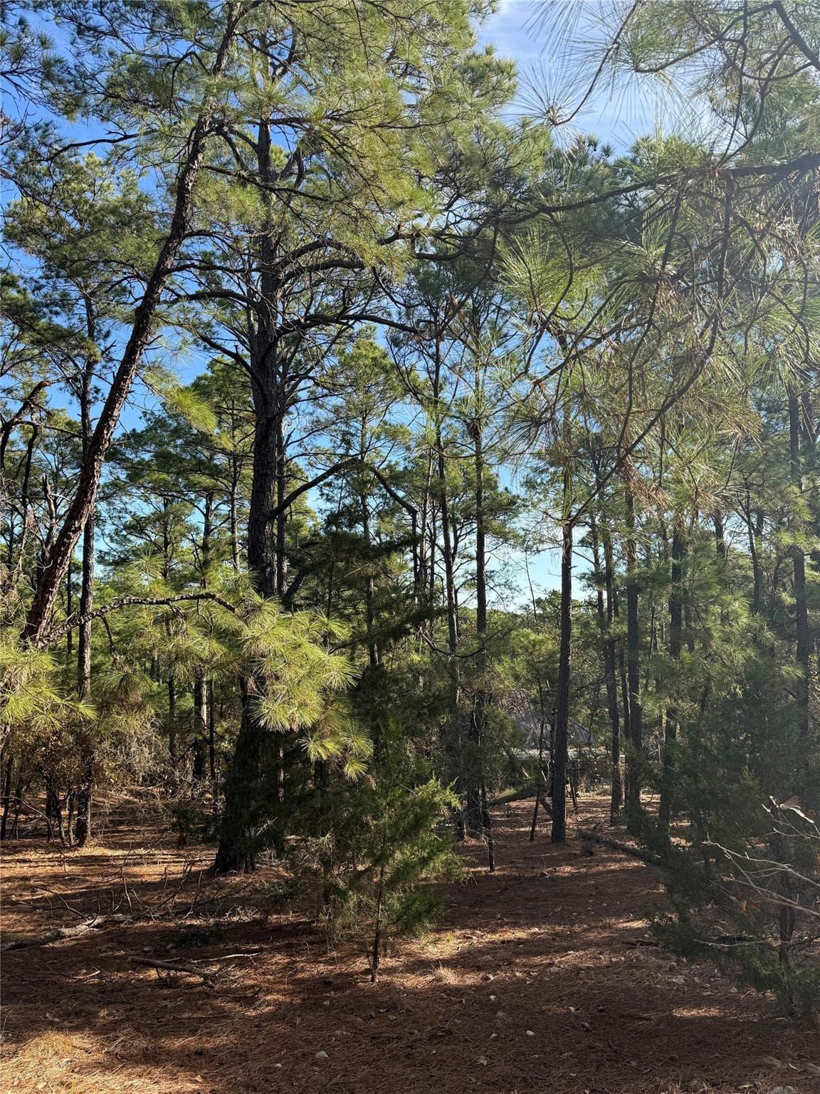 106  Llio Ct photo 3