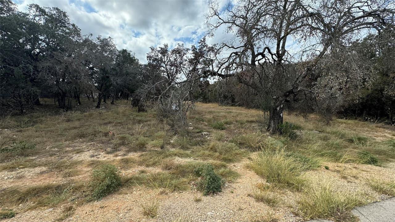 21803  Patton Dr photo 2