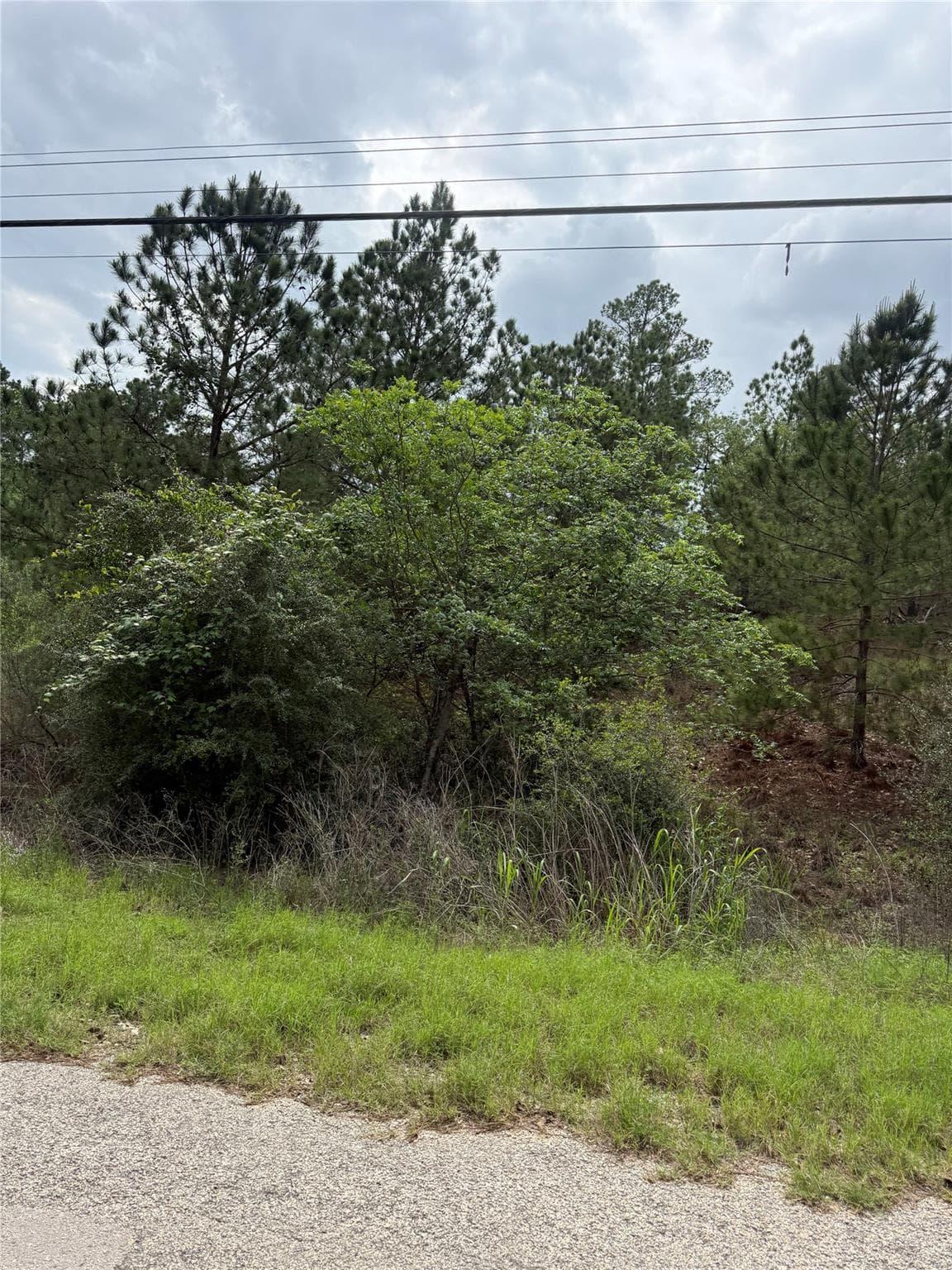 Lot 1360 N Kuapo Dr photo 2