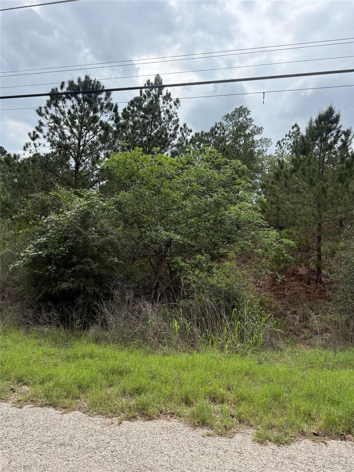 Lot 1360 N Kuapo Dr photo 3