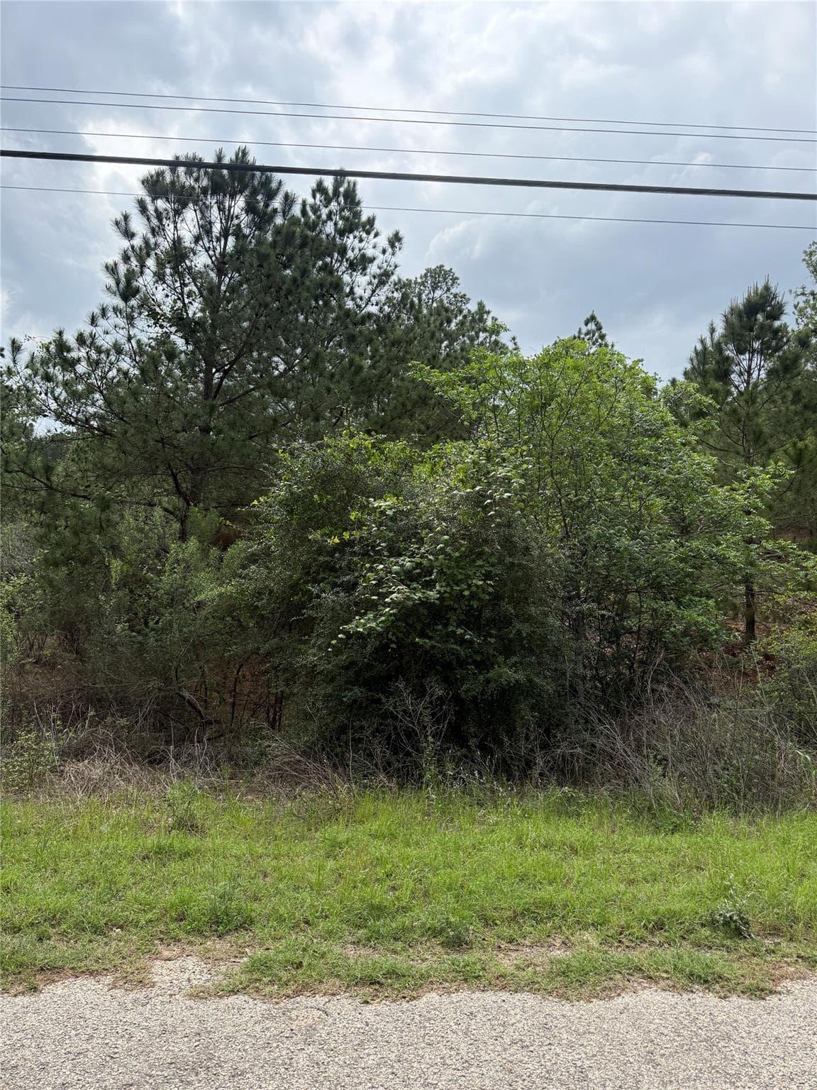 Lot 1360 N Kuapo Dr photo 4