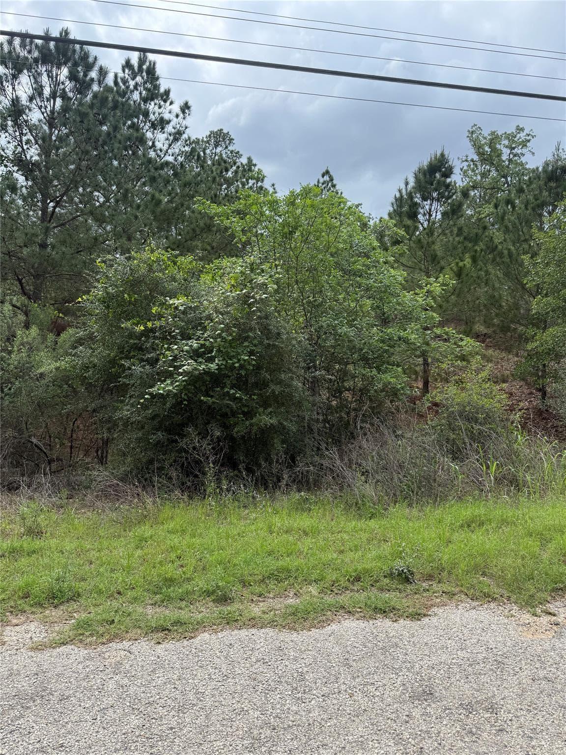 Lot 1360 N Kuapo Dr photo 5