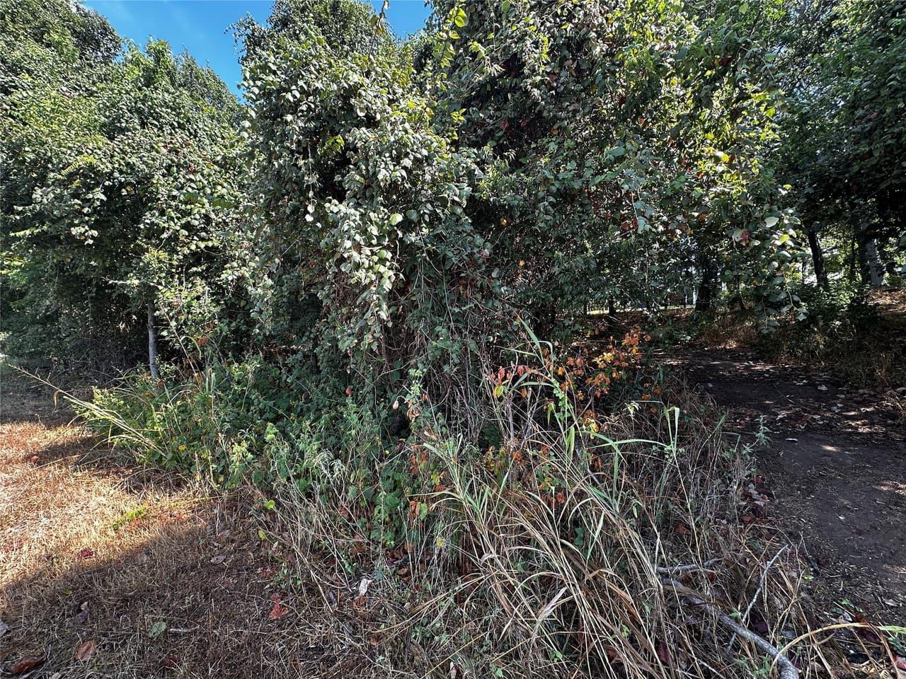 392  Riverside Dr photo 5
