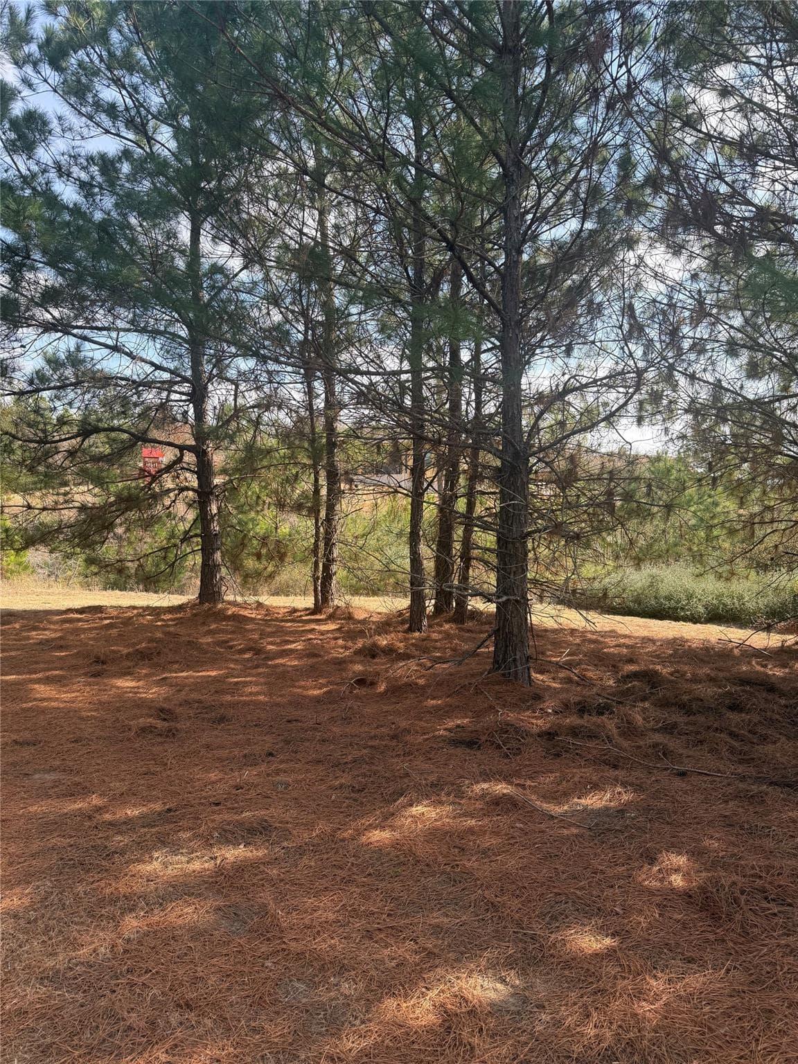 123  Koali Dr photo 5
