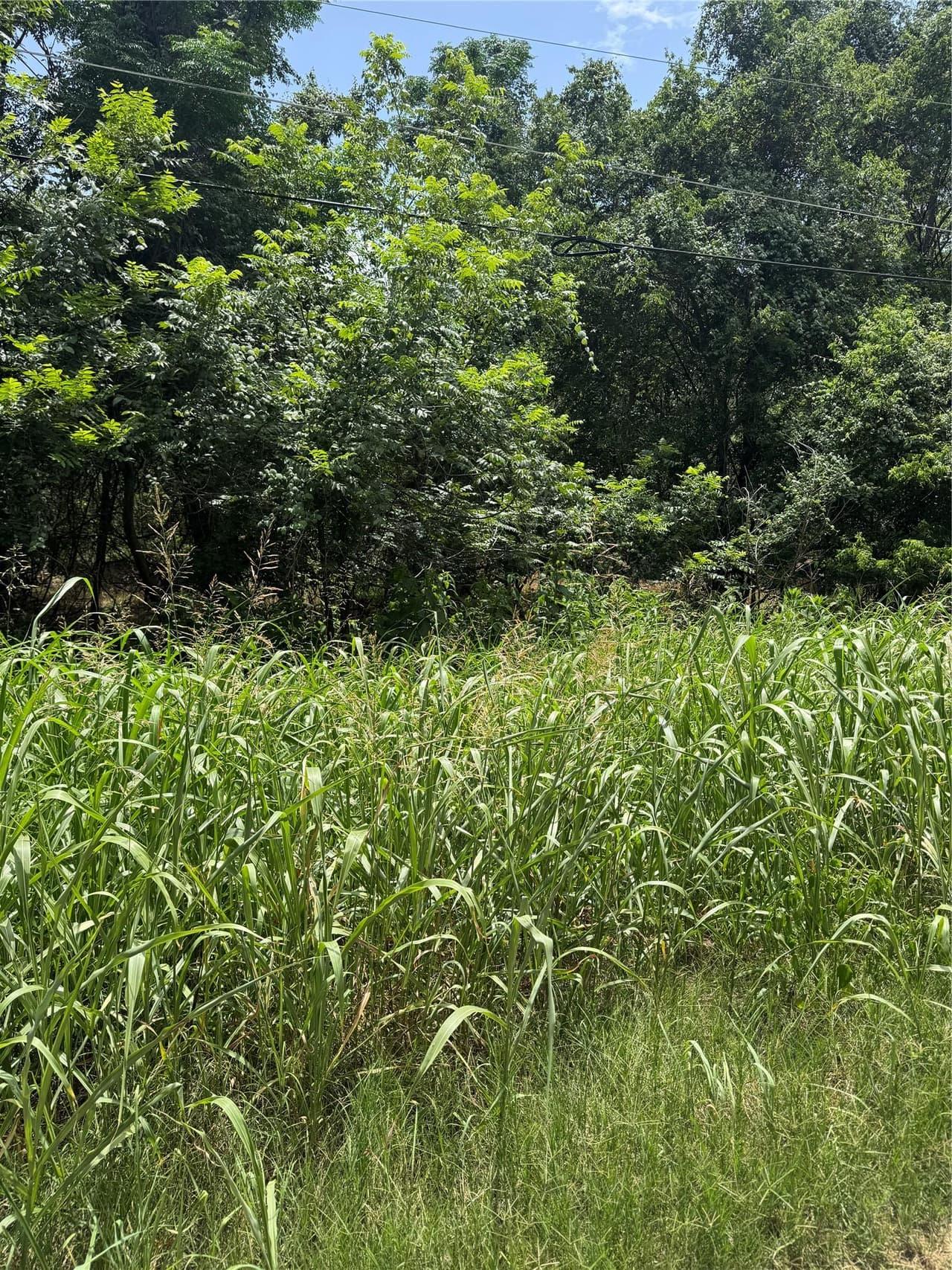 Lot 908  Kahana Ln photo 2