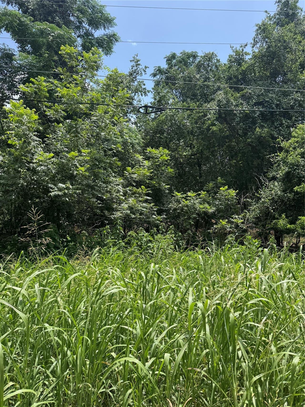Lot 908  Kahana Ln photo 3