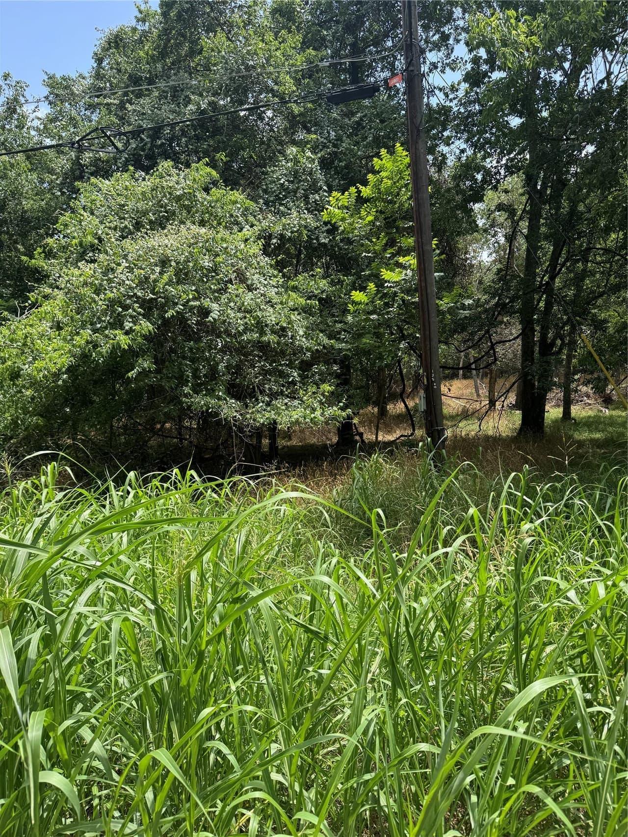 Lot 908  Kahana Ln photo 4