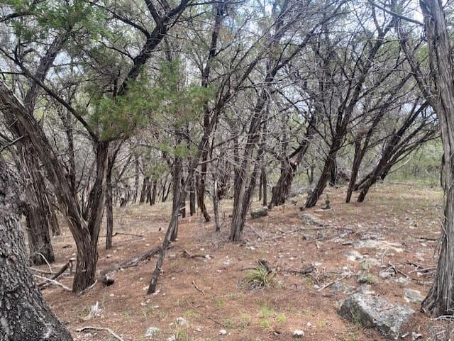 20902  Stone Cliff Dr photo 3