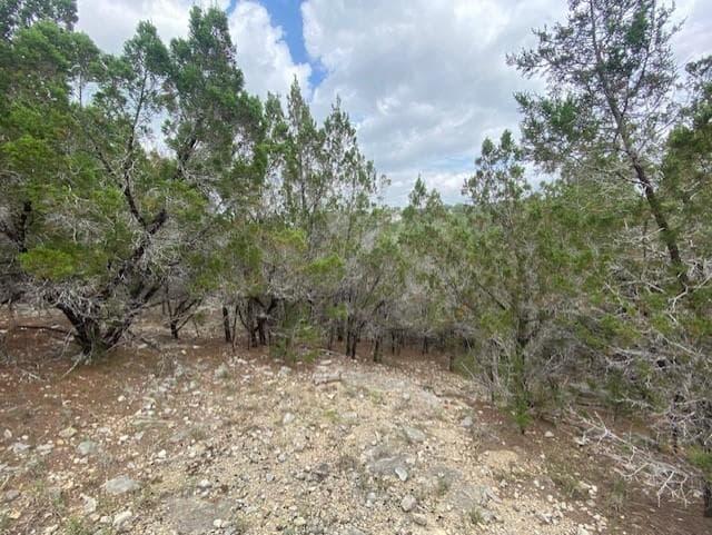 20902  Stone Cliff Dr photo 6