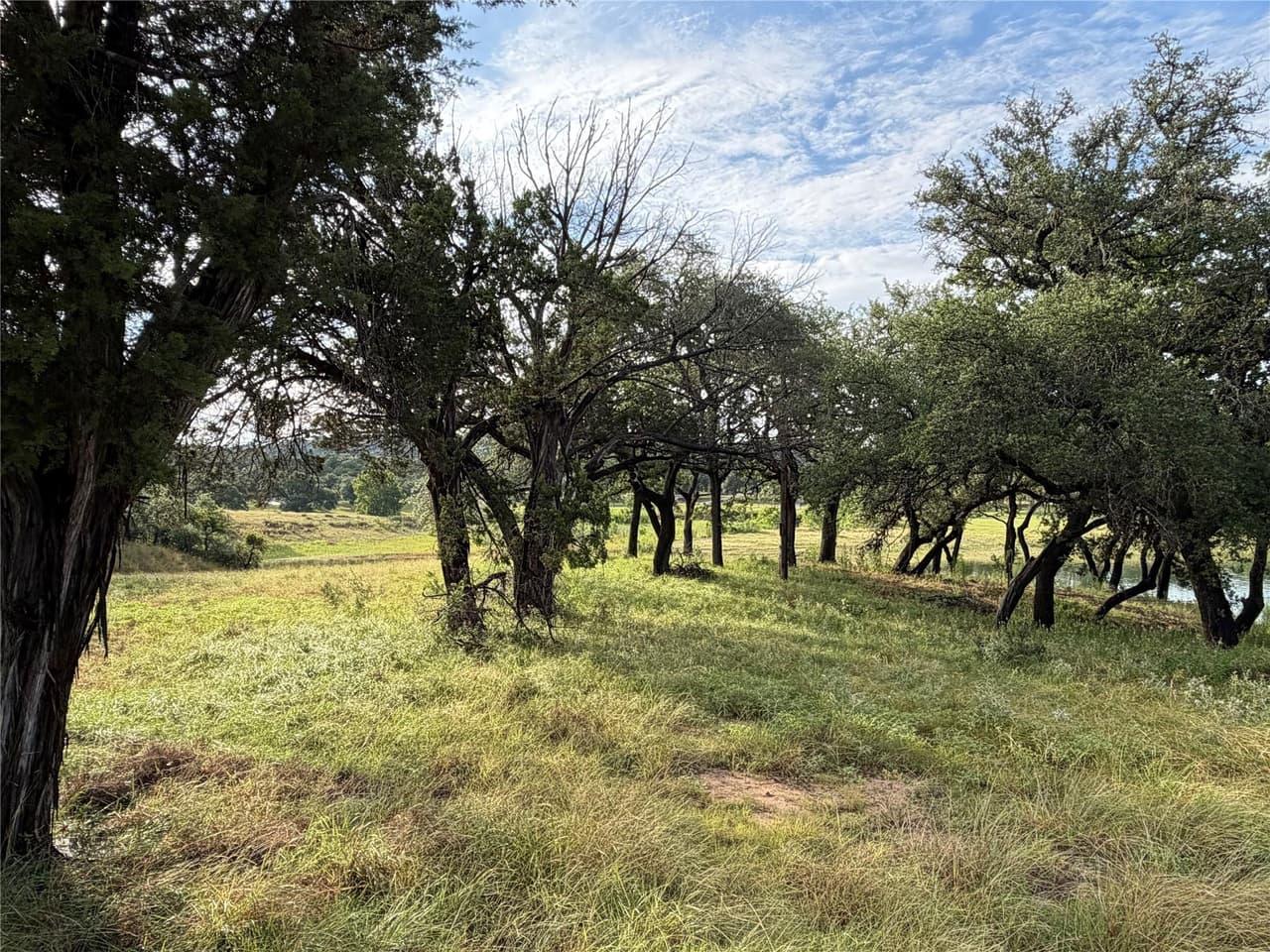 6701  Bar K Ranch Rd photo 5