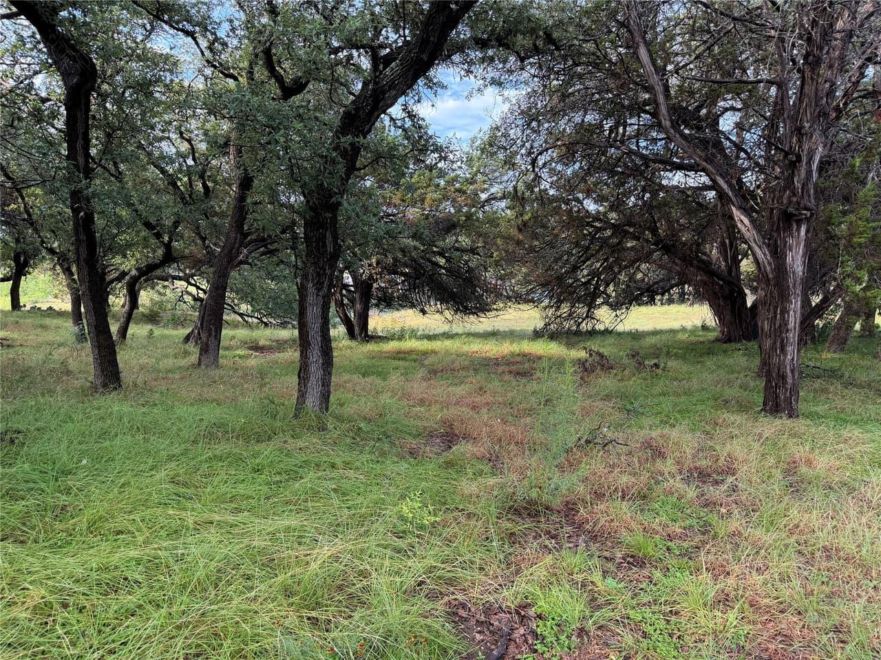 6701  Bar K Ranch Rd photo 6