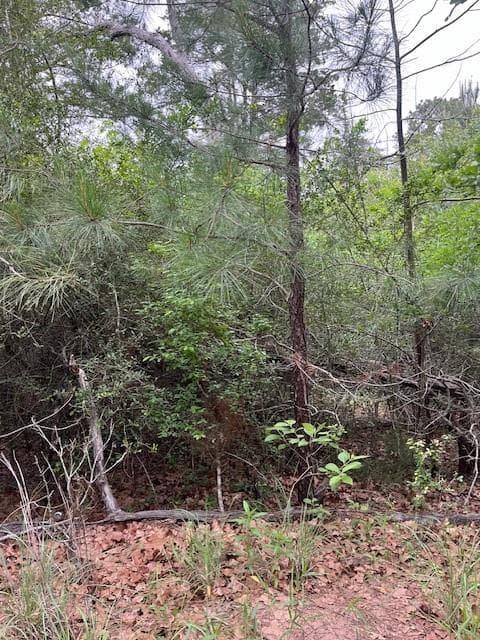 Lot 1603  Ulupau Cir photo 5