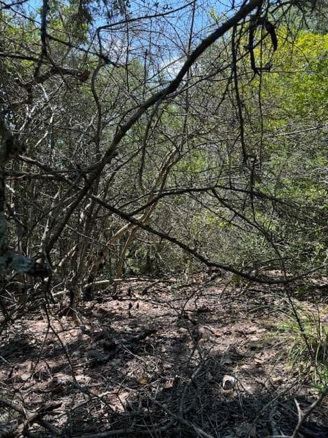 157  Lamaloa Ln photo 3