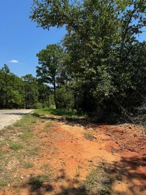 157  Lamaloa Ln photo 6