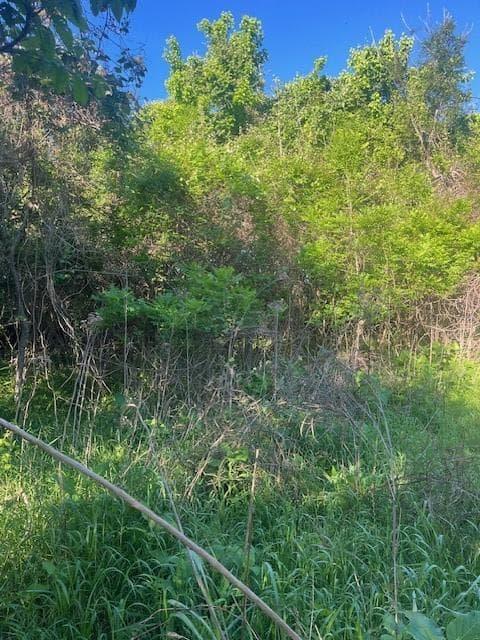 167  Kahana Ln