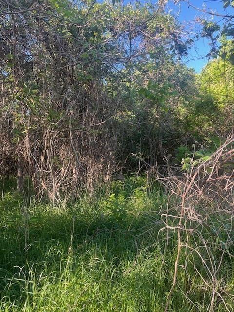 167  Kahana Ln photo 2