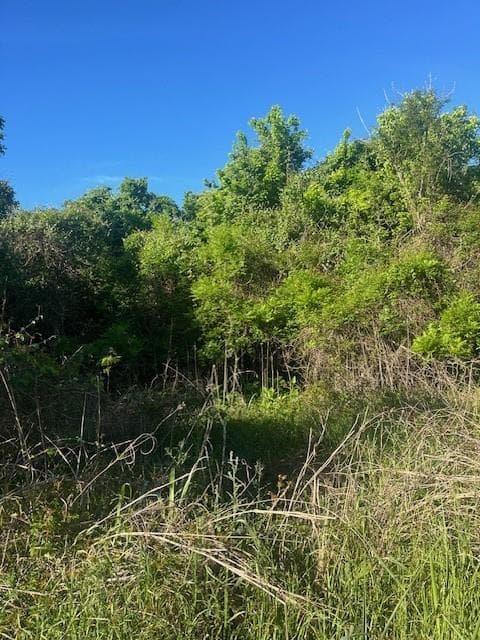 167  Kahana Ln photo 3