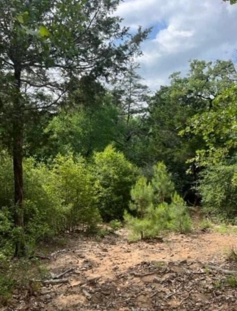 Lot 1114  KAOHIKAIPU Dr photo 2