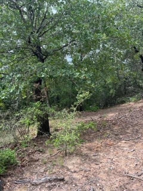 Lot 1114  KAOHIKAIPU Dr photo 3